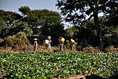 Bagan Myanmar.